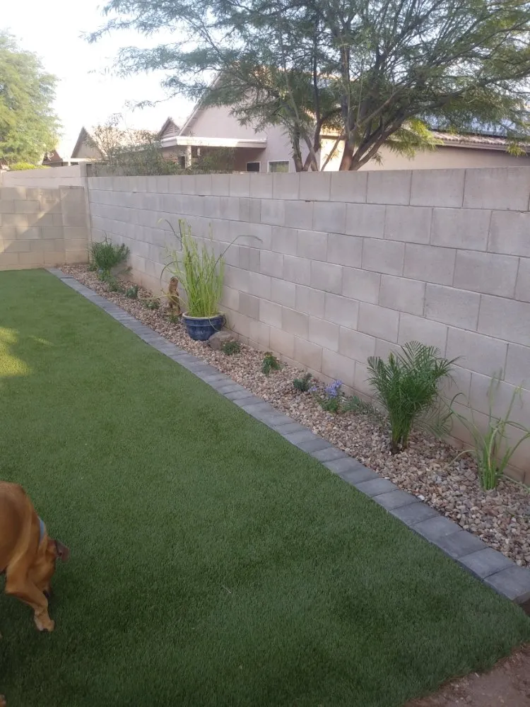 Trusted lawn care service in Tucson, AZ by Copper State Landscape Design