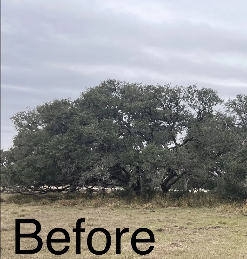 Expert yard maintenance in Yoakum, TX - Copperhead Land Solutions