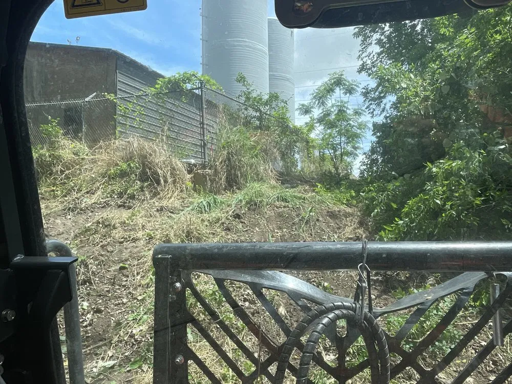 Top-rated yard cleanup service in Yoakum, TX by Copperhead Land Solutions