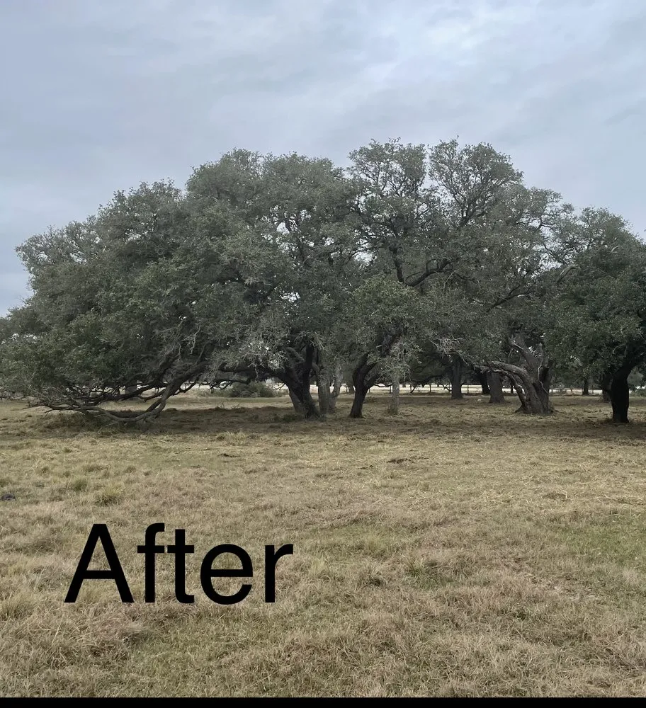 Local garden landscaping in Yoakum, TX by Copperhead Land Solutions
