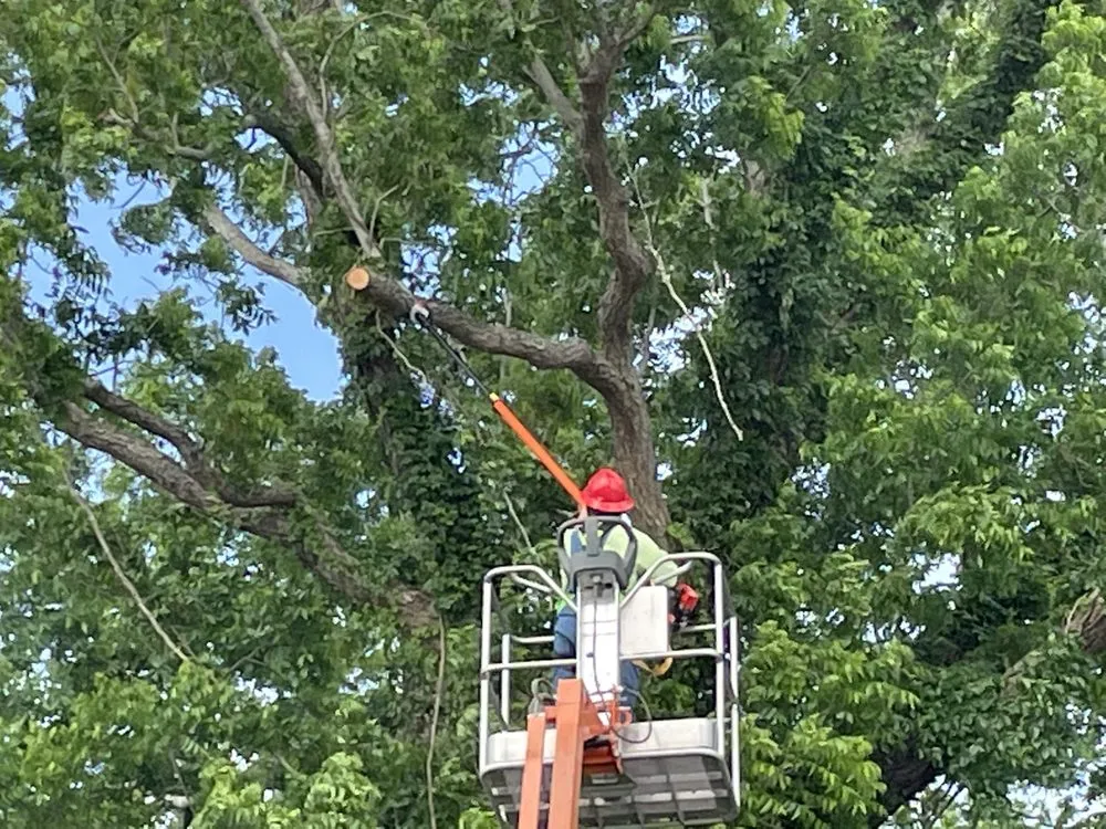 Affordable garden landscaping for year-round maintenance across Yoakum, TX - Copperhead Land Solutions
