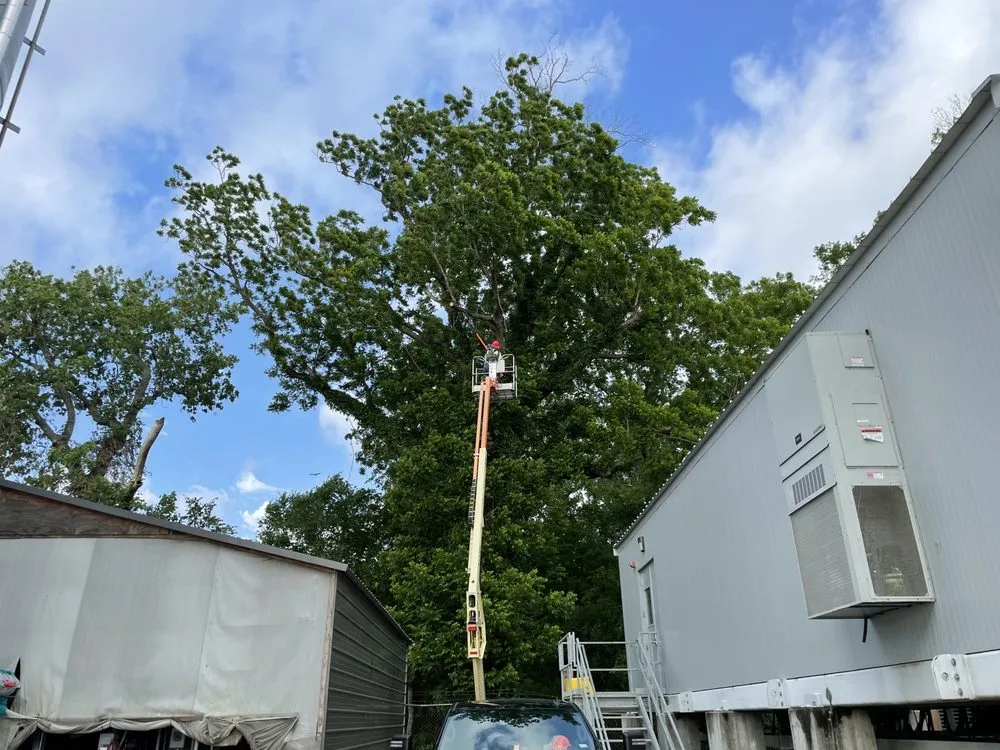 Local landscape design for homes across Yoakum, TX - Copperhead Land Solutions