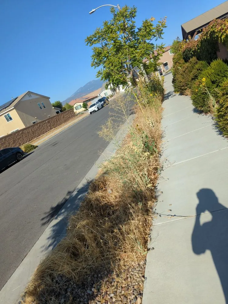 Expert landscape installation experts serving Hemet, CA - Copperhead Landscape