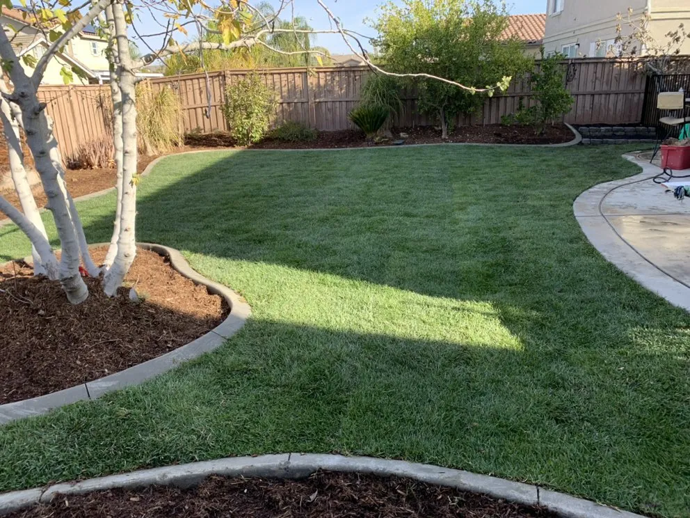 Affordable outdoor landscaping in Hemet, CA - Copperhead Landscape