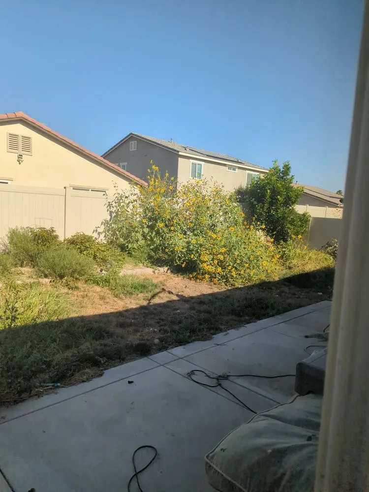 Affordable landscape design experts serving Hemet, CA - Copperhead Landscape