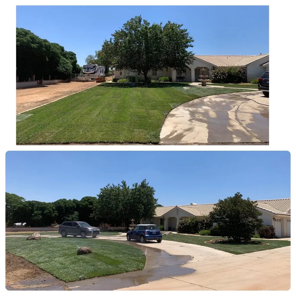 Affordable lawn mowing service for homes in Hemet, CA by Copperhead Landscape