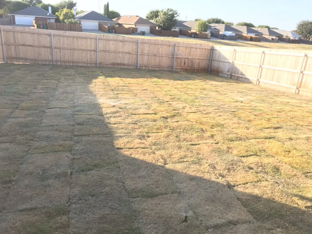 Local outdoor landscaping for residential properties in San Angelo, TX by Copperhead Lawn Care