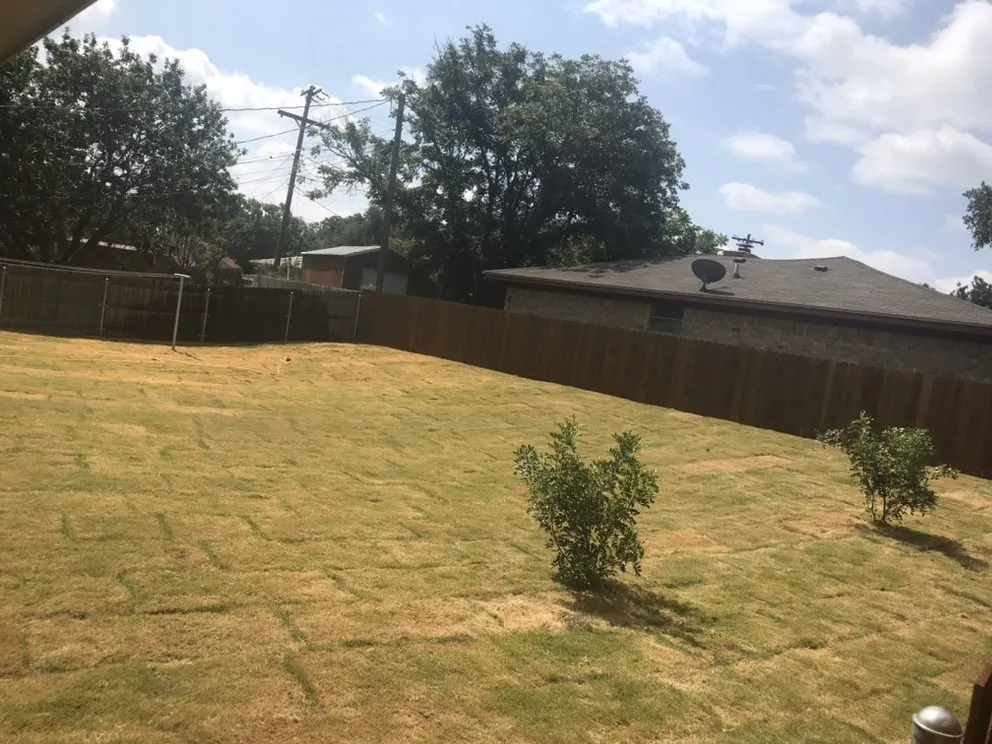 Local lawn mowing service for residential properties across San Angelo, TX - Copperhead Lawn Care