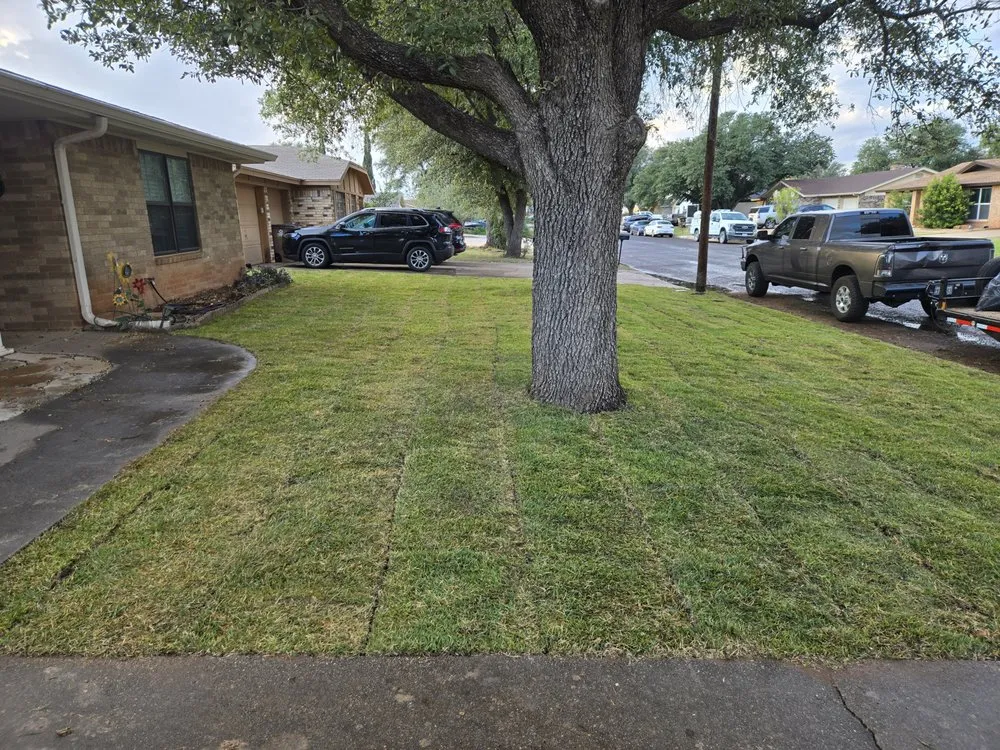 Professional lawn mowing service in San Angelo, TX - Copperhead Lawn Care