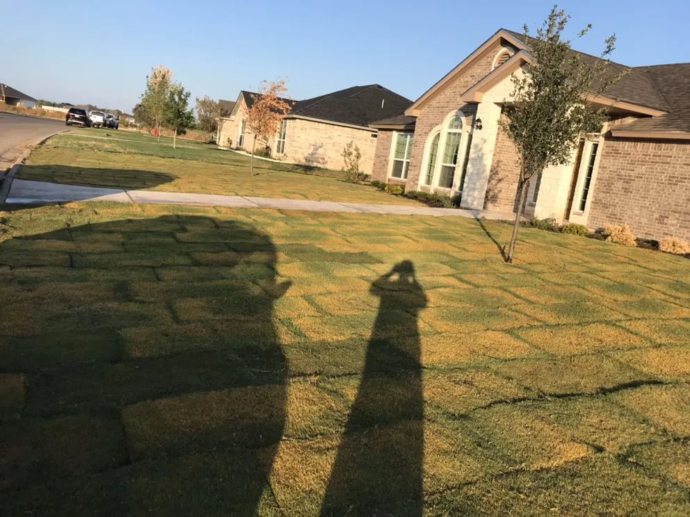 Trusted landscaping services in San Angelo, TX by Copperhead Lawn Care