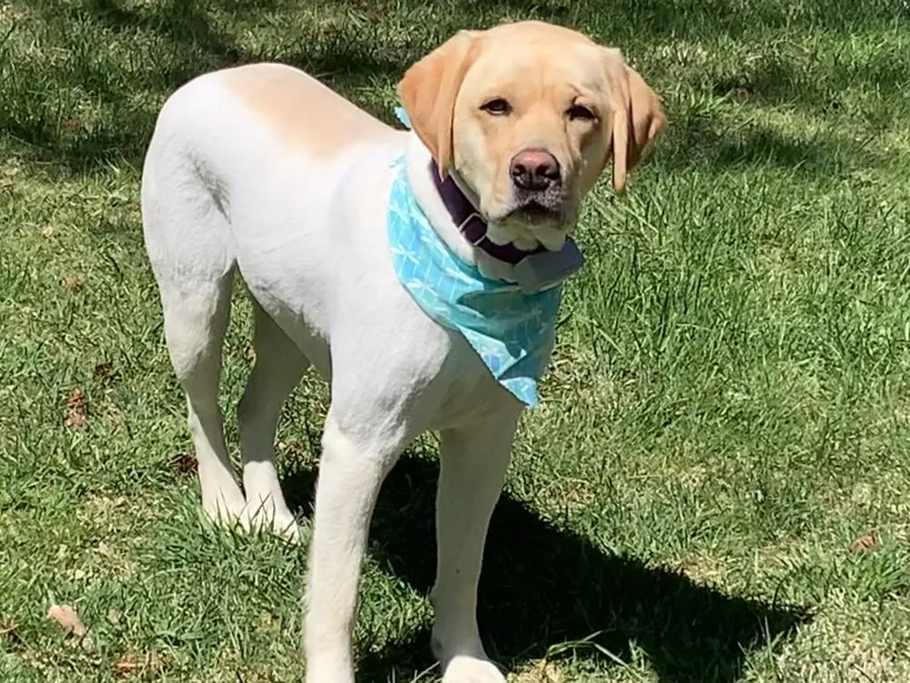 Reliable landscaping services experts serving Charlestown, RI - Coppermyne Farm