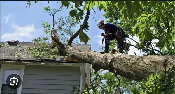 Coppola Landscaping and Services