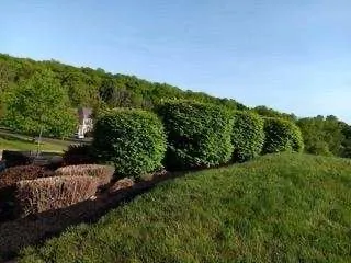 Top-rated landscape design for residential properties in Norristown, PA by Coqui Lansdcaping