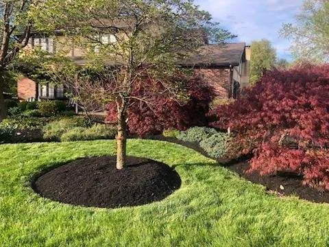 Reliable lawn mowing service experts serving Norristown, PA - Coqui Lansdcaping