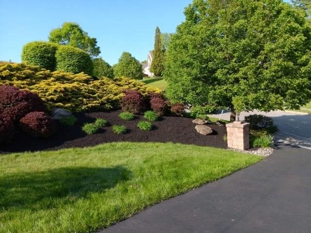 Affordable yard cleanup service in Norristown, PA by Coqui Lansdcaping