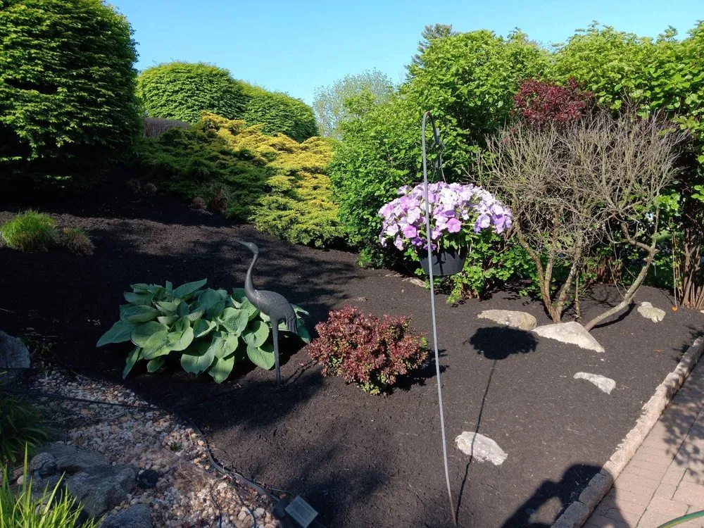 Custom outdoor landscaping for outdoor upgrades across Norristown, PA - Coqui Lansdcaping