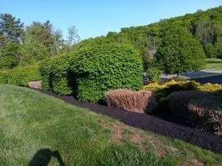 Top-rated outdoor landscaping with custom design in Norristown, PA by Coqui Lansdcaping