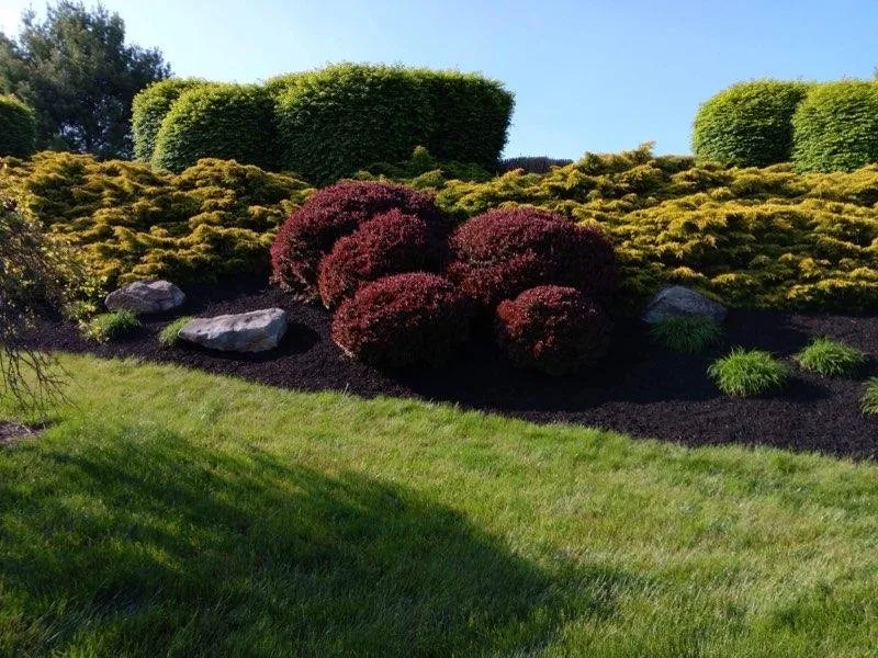 Reliable garden landscaping in Norristown, PA - Coqui Lansdcaping
