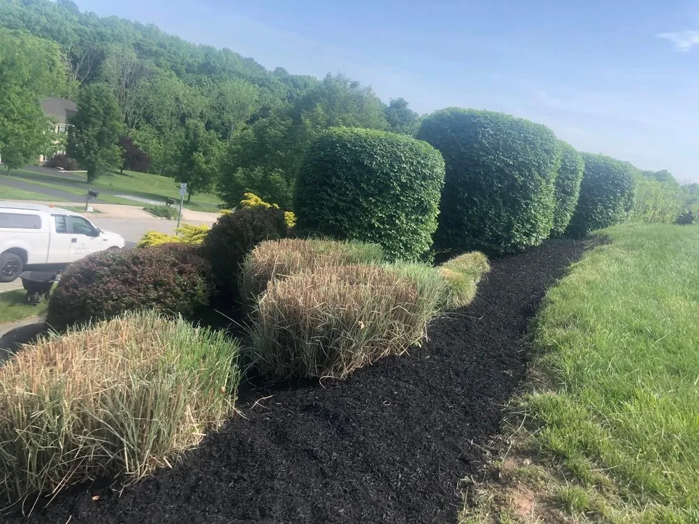 Affordable lawn care service for residential properties across Norristown, PA - Coqui Lansdcaping