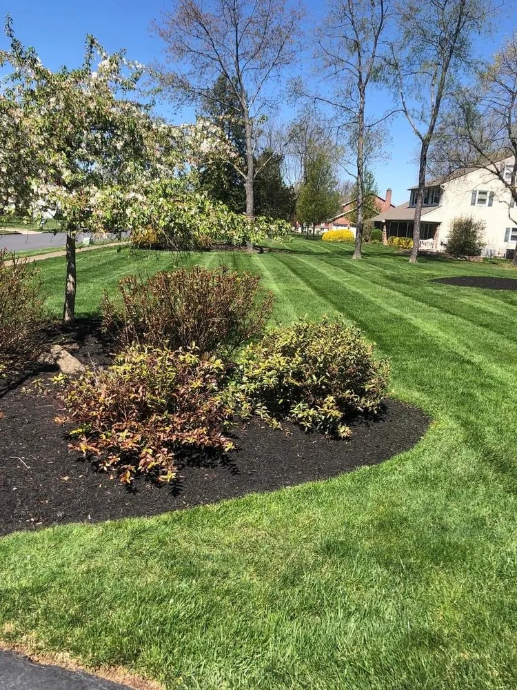Reliable lawn mowing service in Norristown, PA - Coqui Lansdcaping