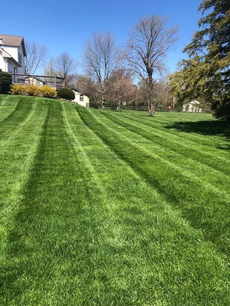 Affordable landscape installation for homes across Norristown, PA - Coqui Lansdcaping