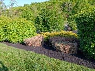 Top-rated yard cleanup service for residential properties in Norristown, PA by Coqui Lansdcaping