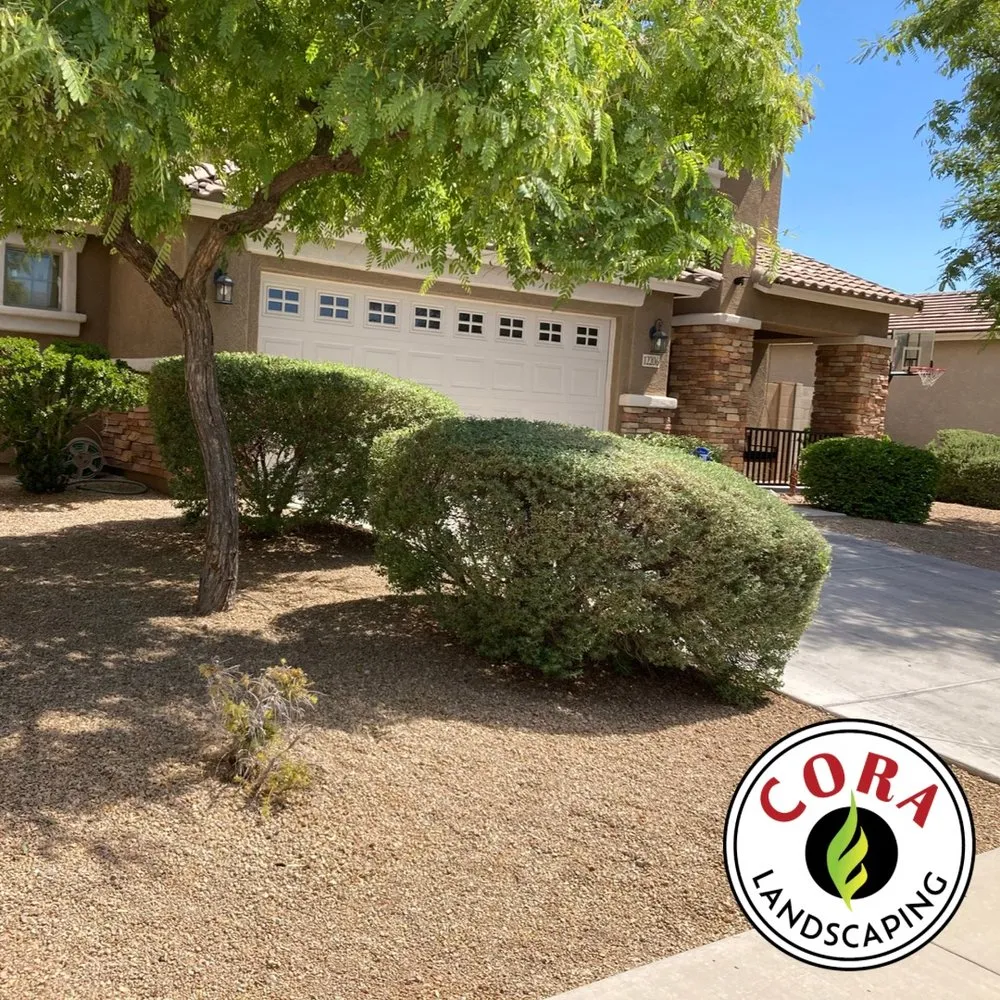 Trusted landscaping services in Avondale, AZ by Cora Landscaping