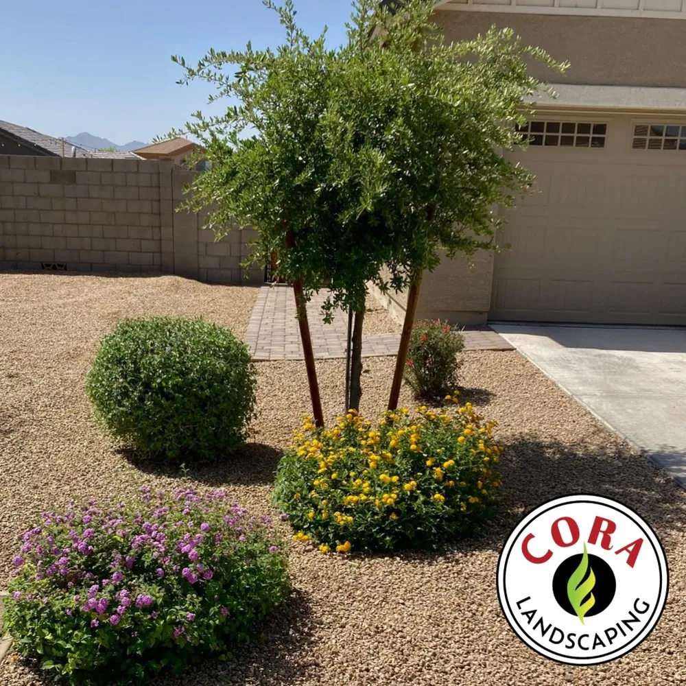 Affordable residential landscaping for outdoor upgrades across Avondale, AZ - Cora Landscaping