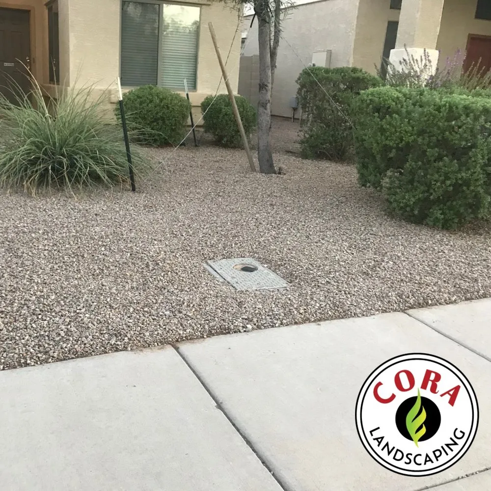Affordable lawn mowing service near you across Avondale, AZ - Cora Landscaping