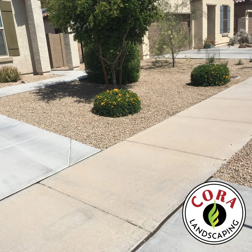 Professional yard cleanup service experts serving Avondale, AZ - Cora Landscaping