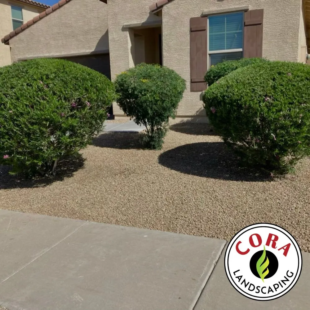 Trusted lawn care service in Avondale, AZ by Cora Landscaping