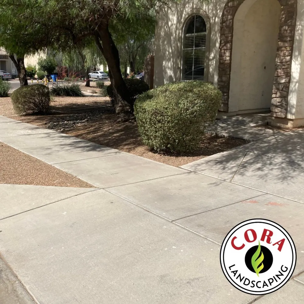 Local residential landscaping experts serving Avondale, AZ - Cora Landscaping