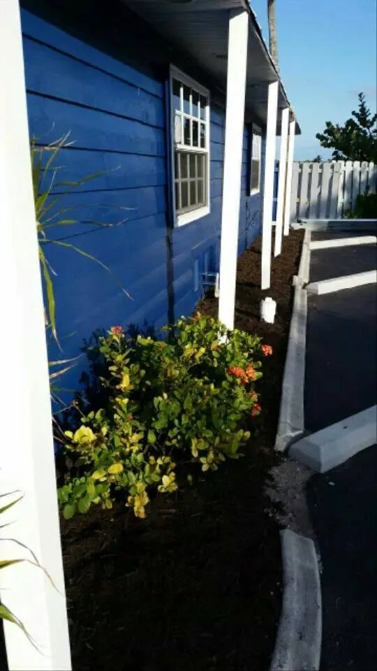 Professional landscape installation for homes in Cape Coral, FL by Coral Scapes Property Services