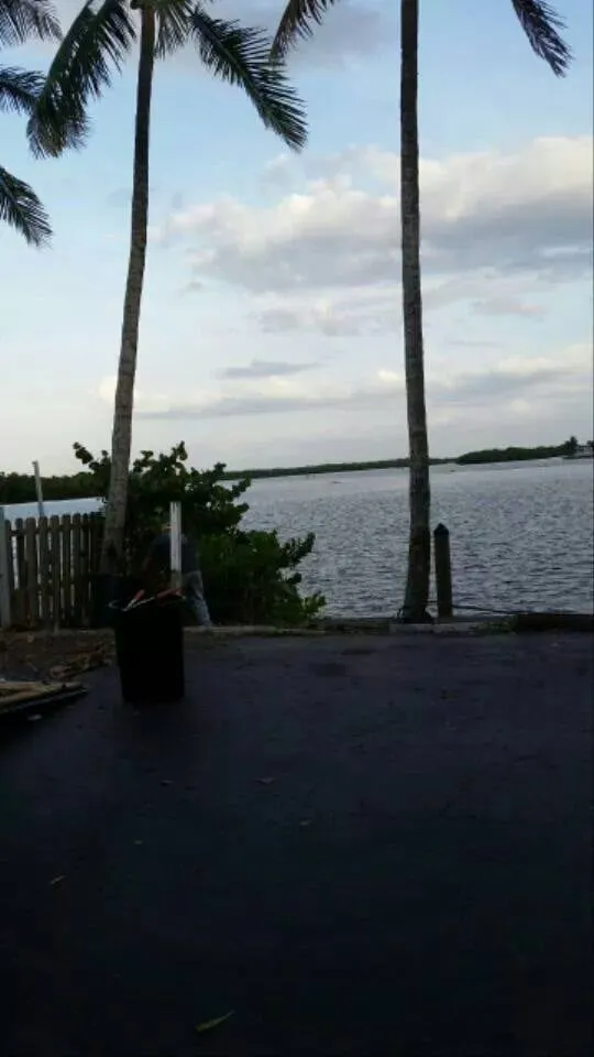 Professional outdoor landscaping in Cape Coral, FL by Coral Scapes Property Services