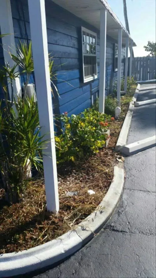 Top-rated landscaping services experts serving Cape Coral, FL - Coral Scapes Property Services