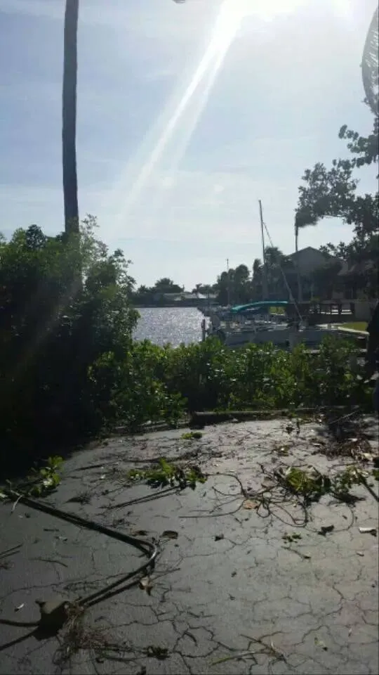 Trusted yard maintenance in Cape Coral, FL by Coral Scapes Property Services