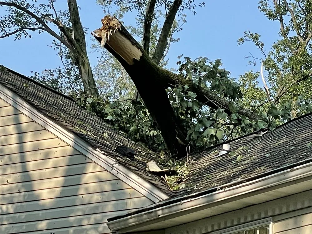 Local residential landscaping experts serving Norristown, PA - Corbo Tree & Landscaping Service