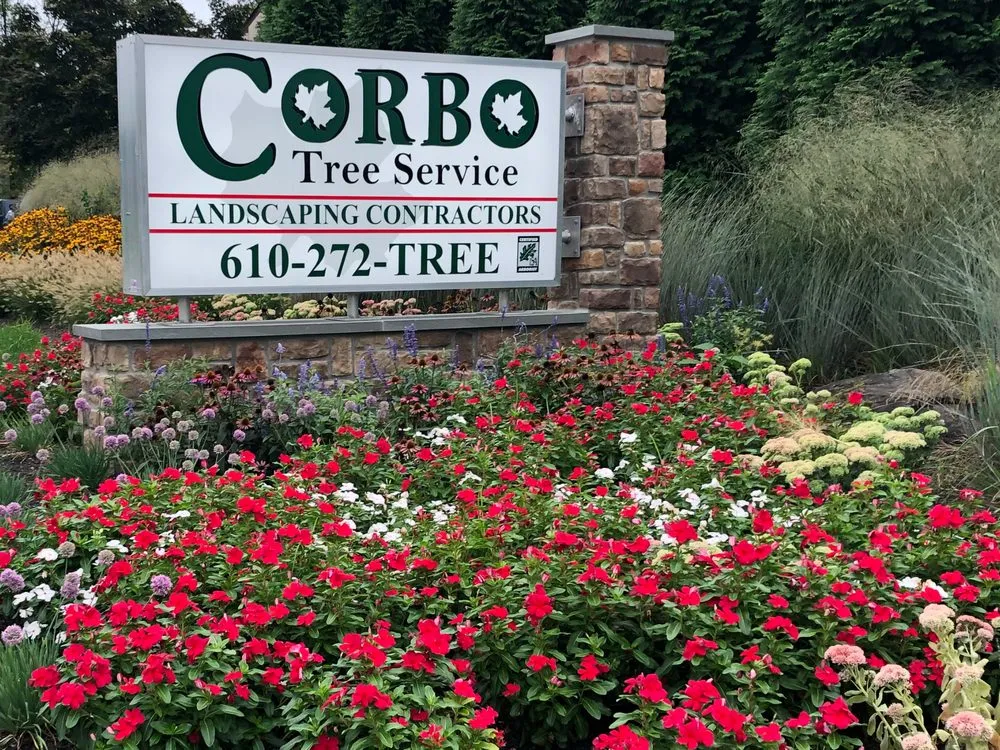 Professional residential landscaping with custom design in Norristown, PA by Corbo Tree & Landscaping Service