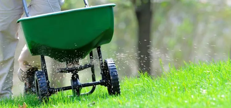 Reliable yard maintenance for residential properties in Norristown, PA by Corbo Tree & Landscaping Service