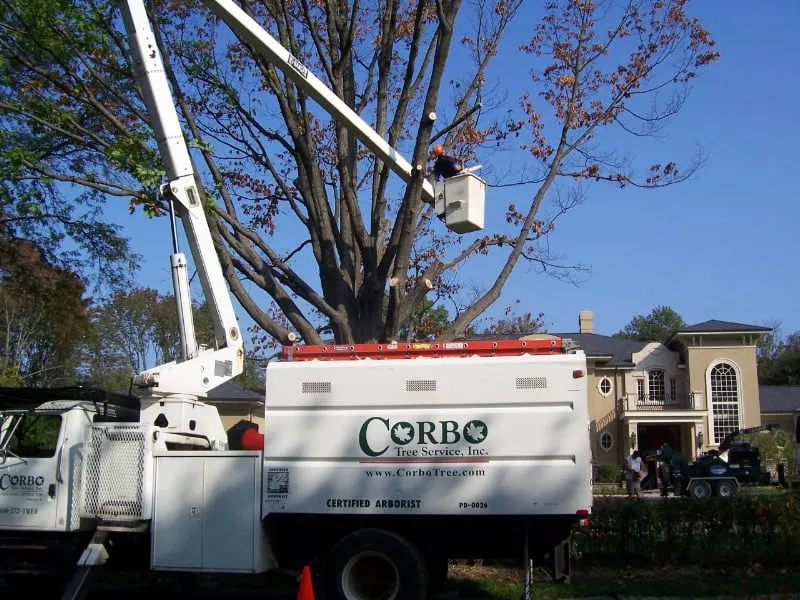 Trusted landscape installation for residential properties in Norristown, PA by Corbo Tree & Landscaping Service