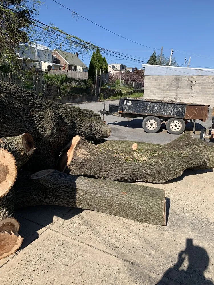 Custom garden landscaping for homes in Norristown, PA by Corbo Tree & Landscaping Service