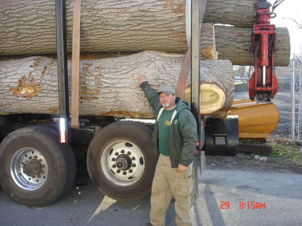 Expert lawn care service in Norristown, PA by Corbo Tree & Landscaping Service