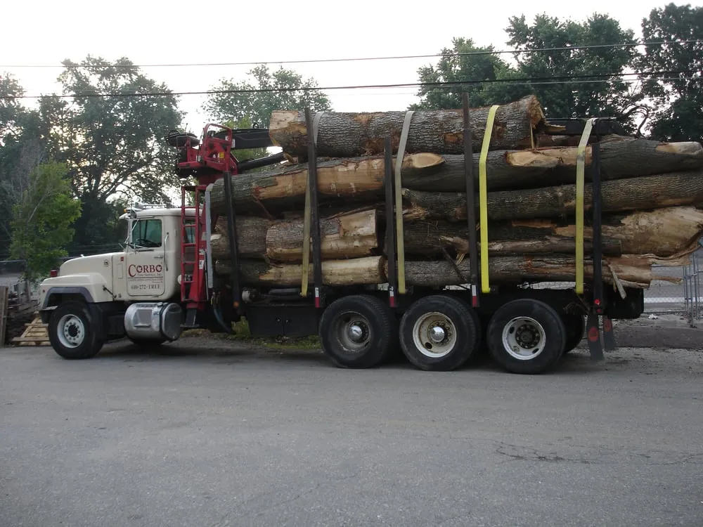 Expert outdoor landscaping for beautiful yards across Norristown, PA - Corbo Tree & Landscaping Service