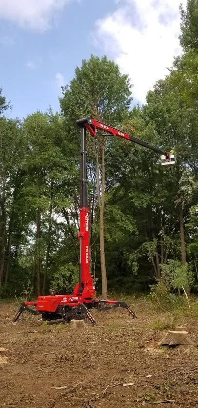 Affordable landscape design for outdoor upgrades across Norristown, PA - Corbo Tree & Landscaping Service