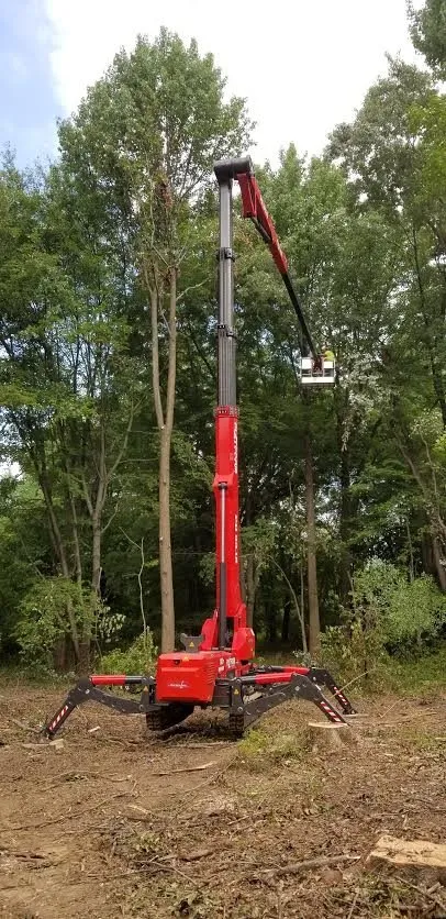 Top-rated residential landscaping in Norristown, PA by Corbo Tree & Landscaping Service