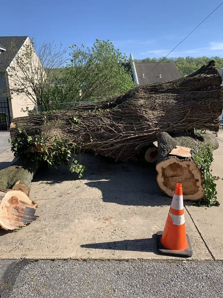 Trusted landscape design for homes across Norristown, PA - Corbo Tree & Landscaping Service