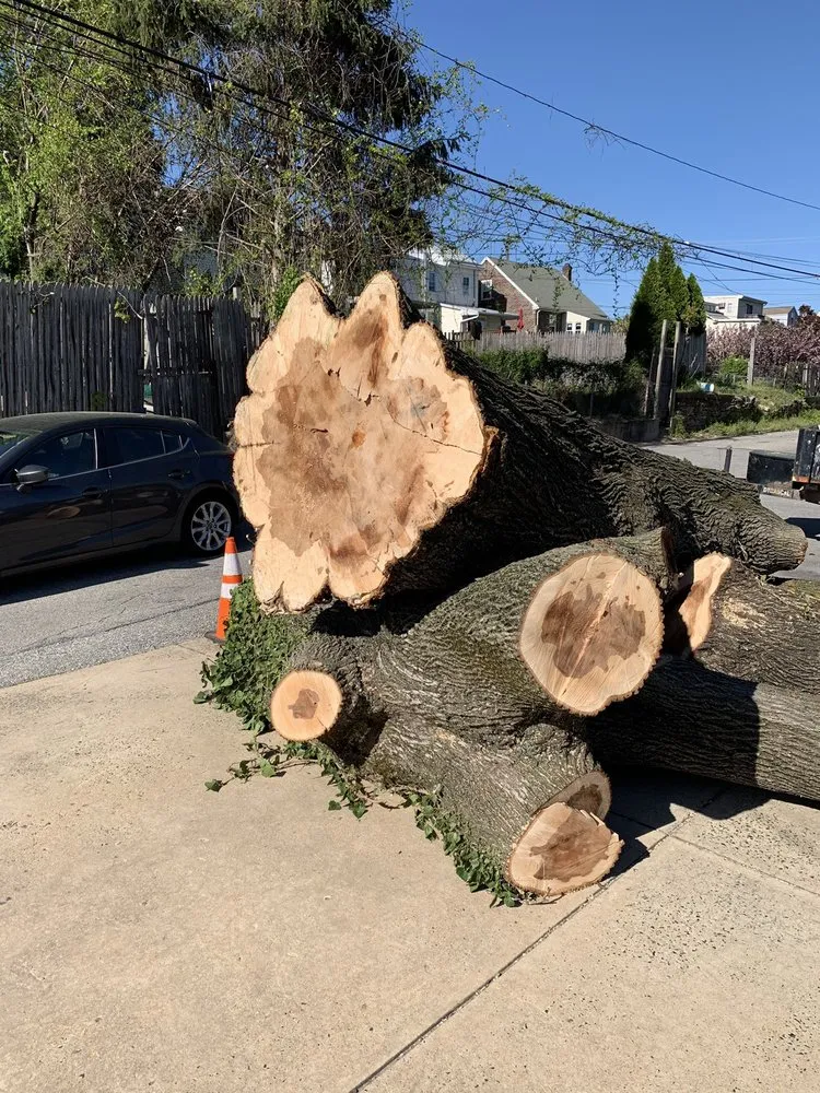 Top-rated yard maintenance in Norristown, PA by Corbo Tree & Landscaping Service