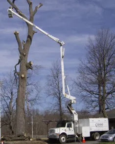 Custom garden landscaping near you across Norristown, PA - Corbo Tree & Landscaping Service