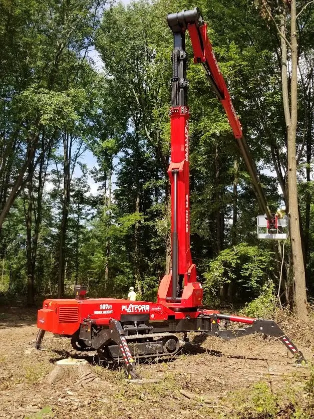 Expert landscaping services in Norristown, PA - Corbo Tree & Landscaping Service