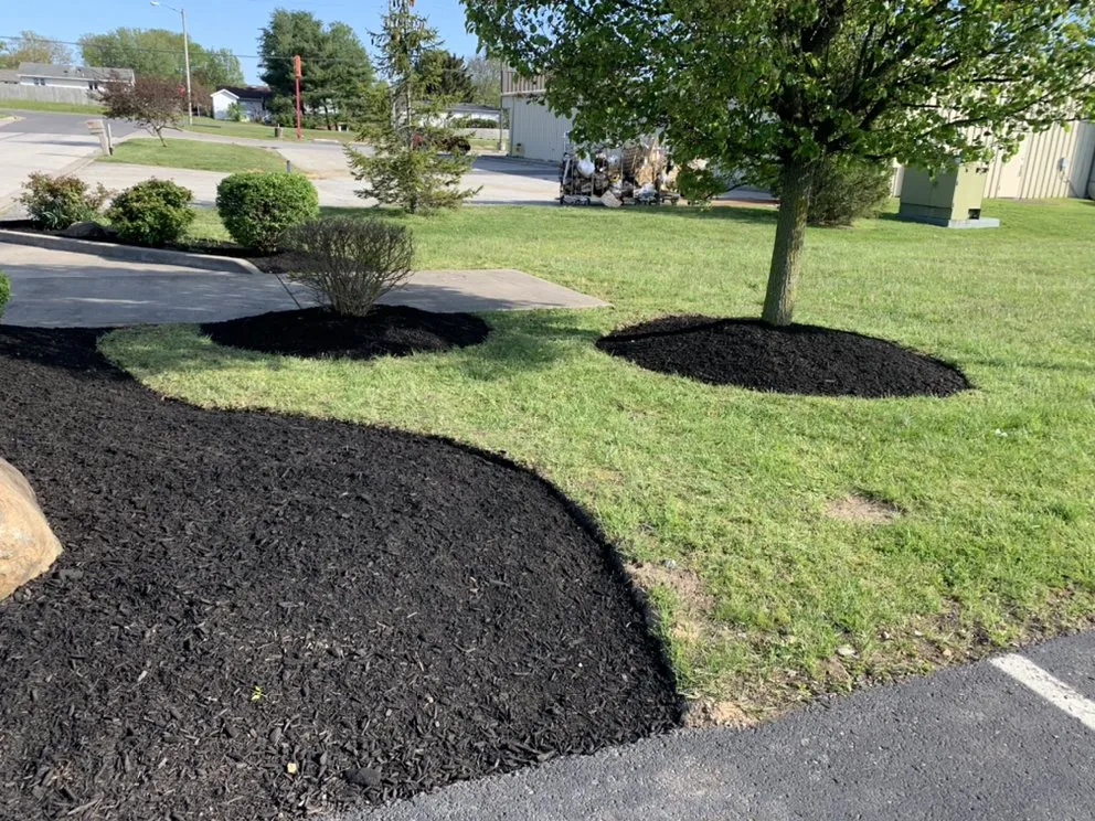 Expert yard maintenance in Batesville, IN by Corbyn’s Lawn care